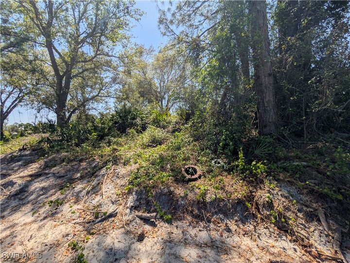 Property Photo:  3700 Elaine Avenue N  FL 33971 