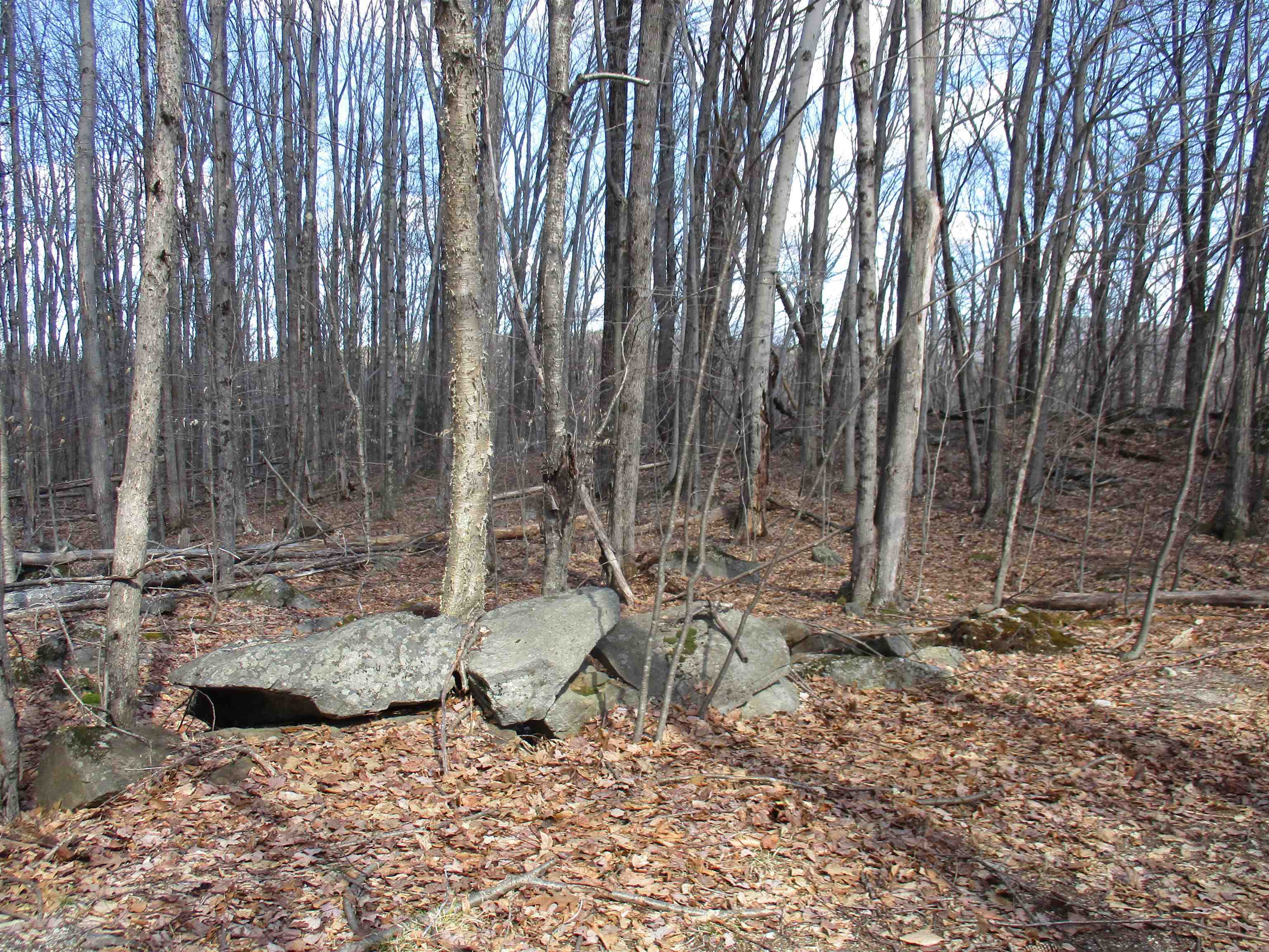 Property Photo:  S5-11 Longwood Drive  NH 03047 