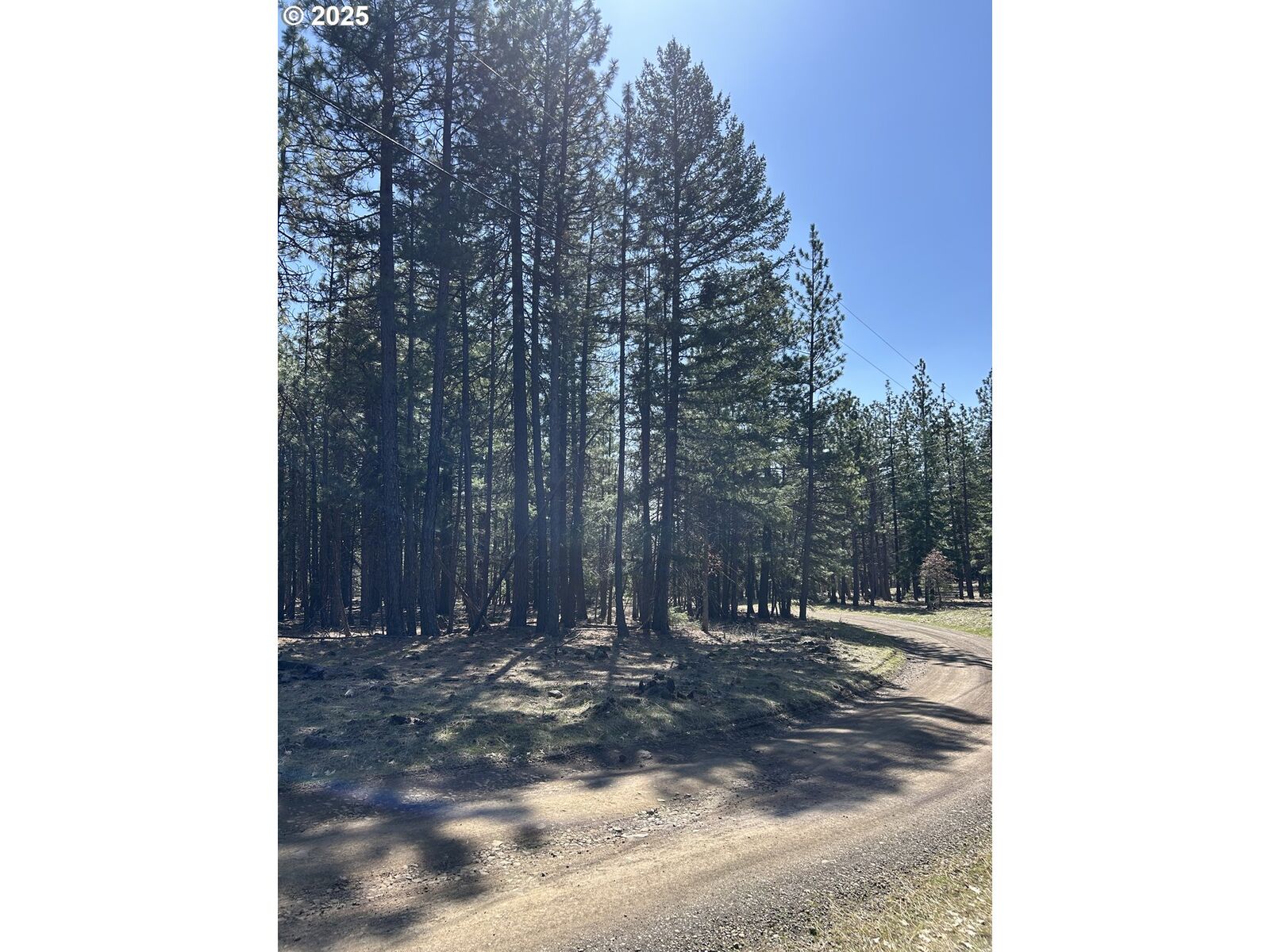Property Photo: Lot 4 Thompson Trail WA 98620