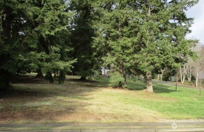 0 W McBryde Avenue  Montesano WA 98563 photo