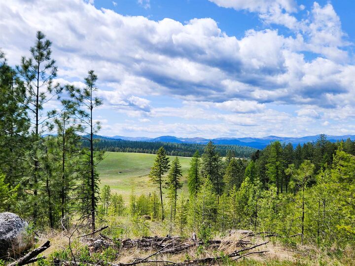 3669 E Jump Off Joe Rd  Valley WA 99139 photo