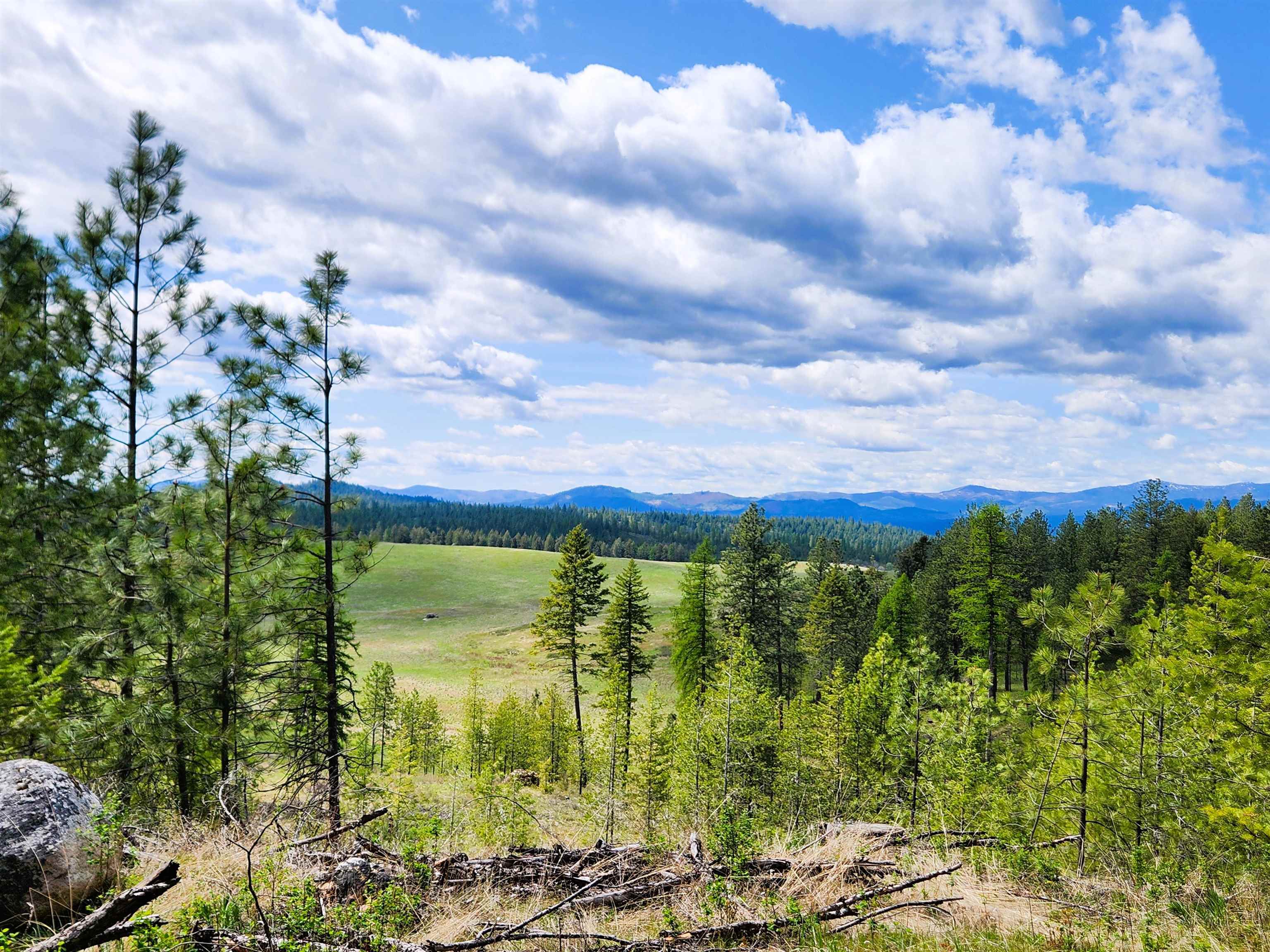 Property Photo: 3669 E Jump Off Joe Rd WA 99139