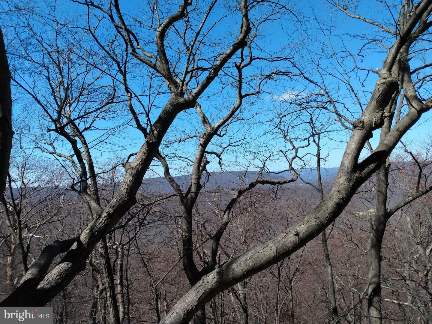 Property Photo:  979, Tract 4 Kessel Road  WV 25422 