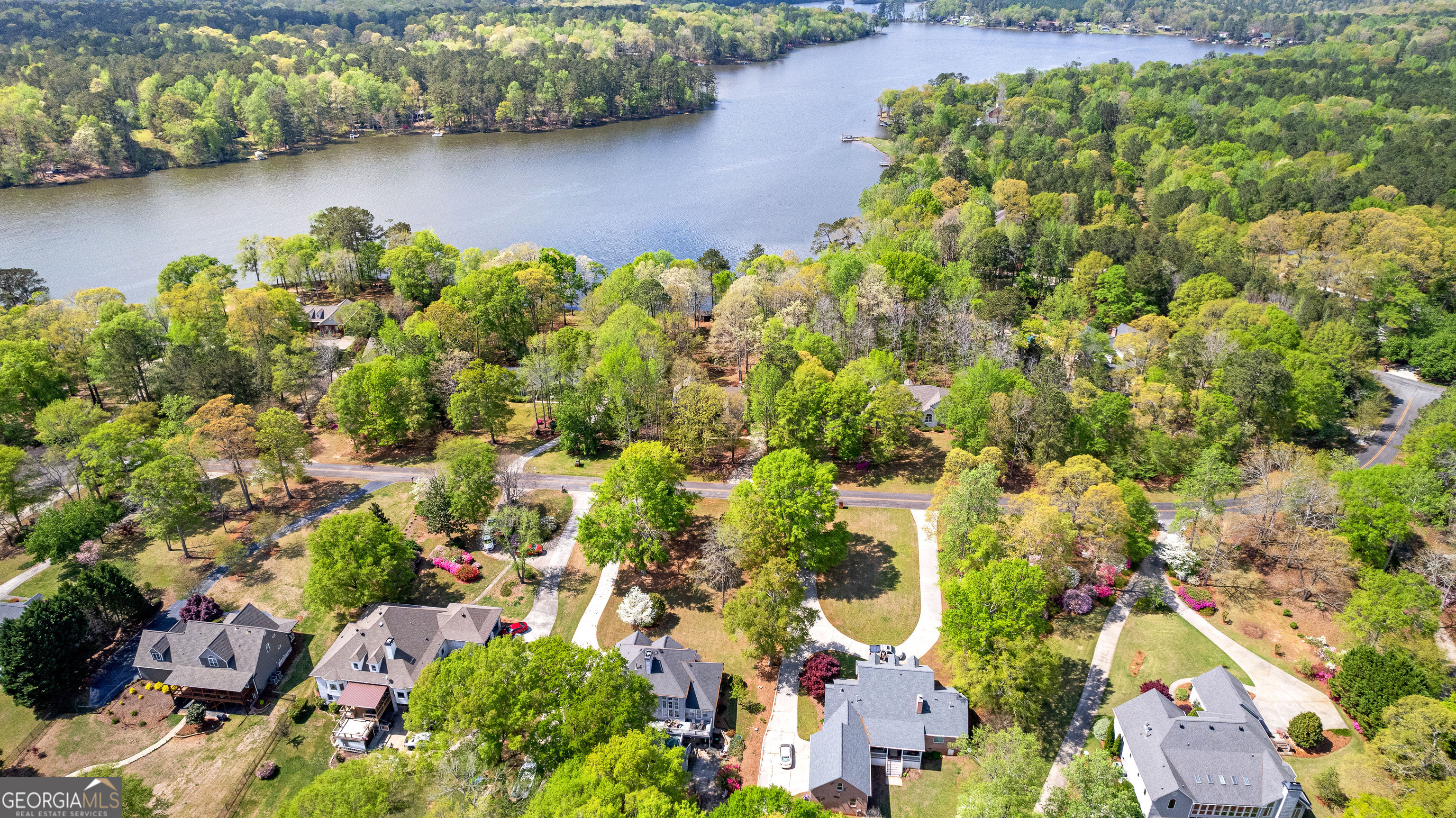 Property Photo: 65 Point View Court GA 30233