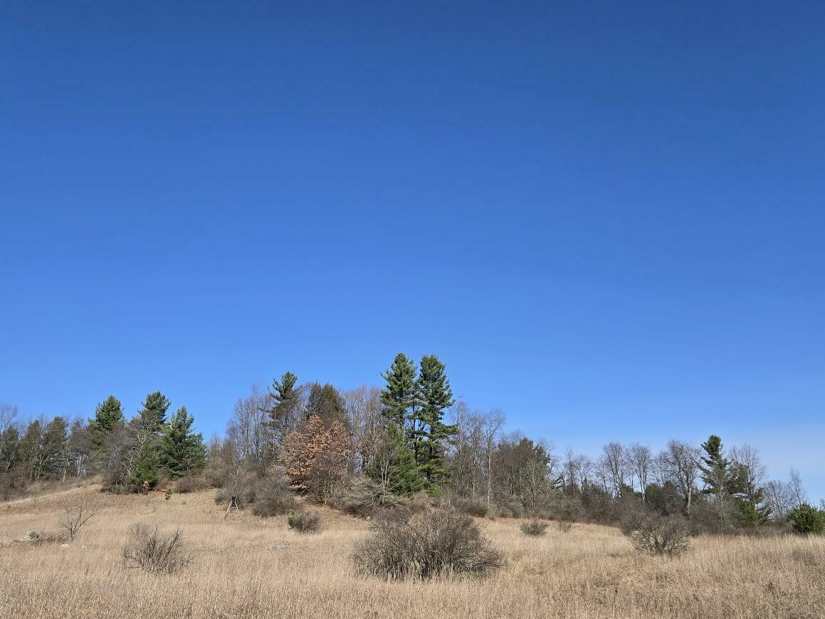 Property Photo: 21400 21 Mile Road MI 49338