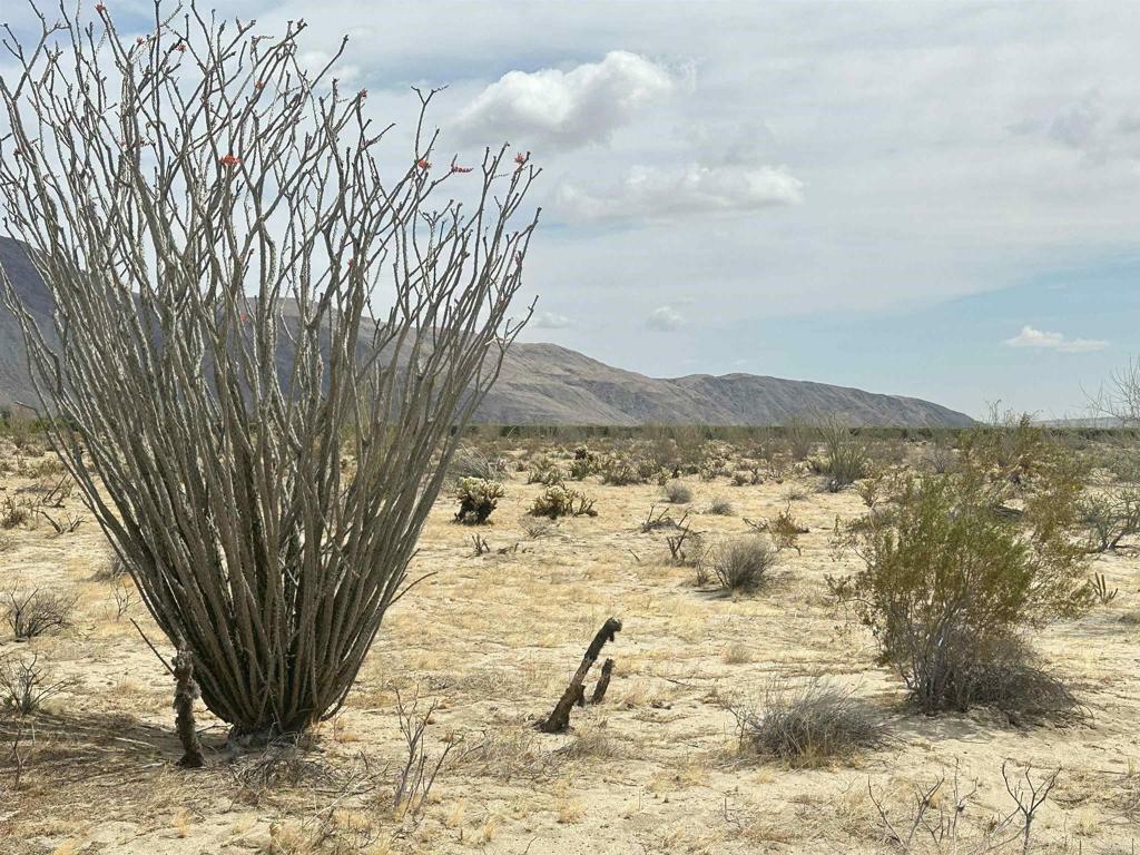 Property Photo:  0 Indian Head Ranch Road  CA 92004 