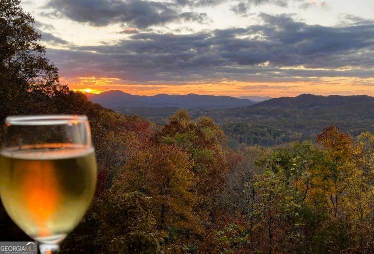 Property Photo: 7 Lakeview Drive NC 28904