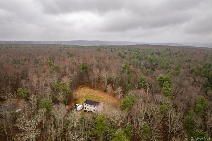 Property Photo:  452 County Road 114  NY 12726 