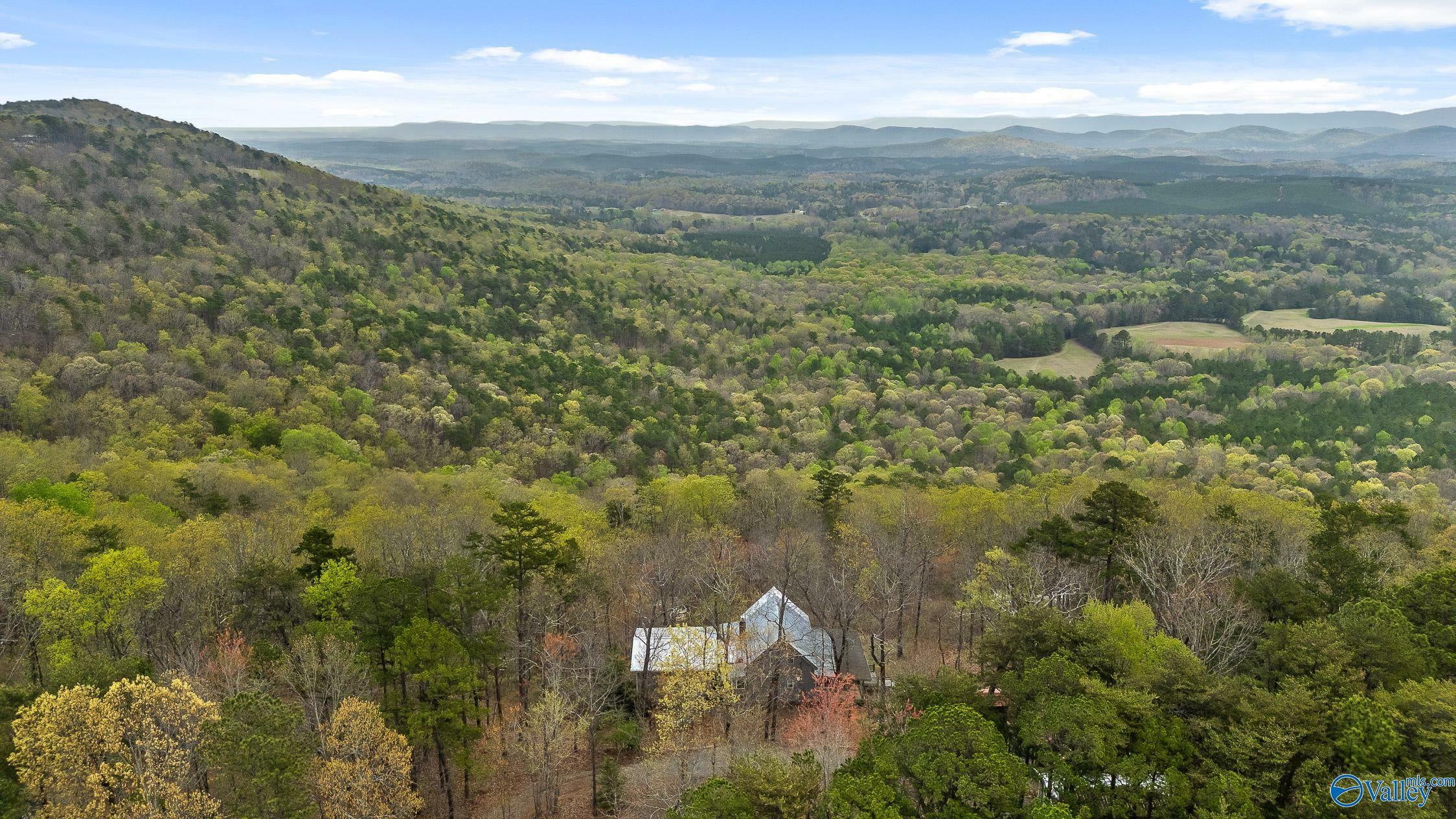 2255 County Road 865  Gaylesville AL 35973 photo