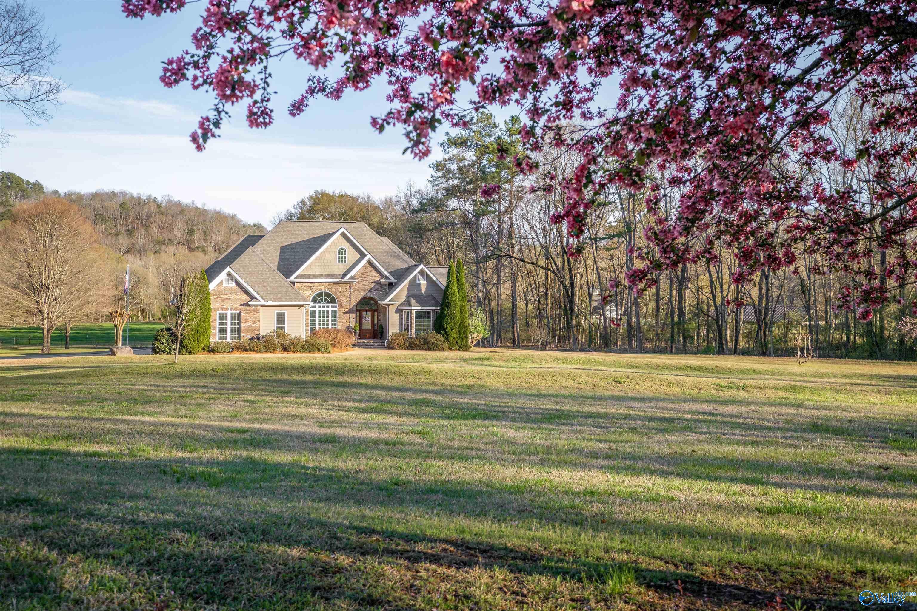 Property Photo: 3602 Beason Cove Road AL 35987