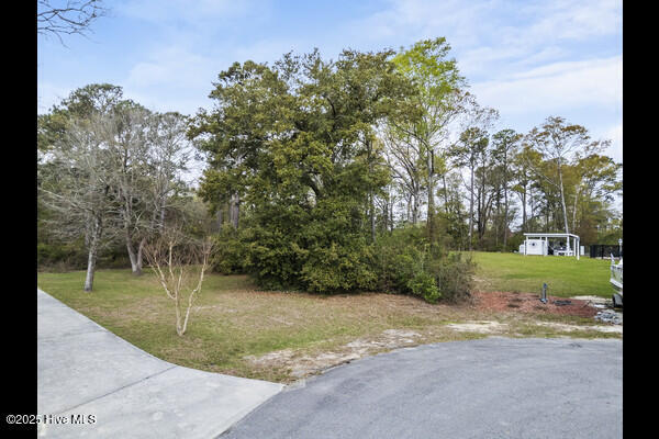 Property Photo: 115 Bay Court NC 28460