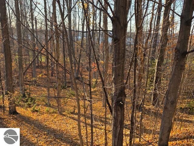 1 Palmer Drive  Bellaire MI 49615 photo