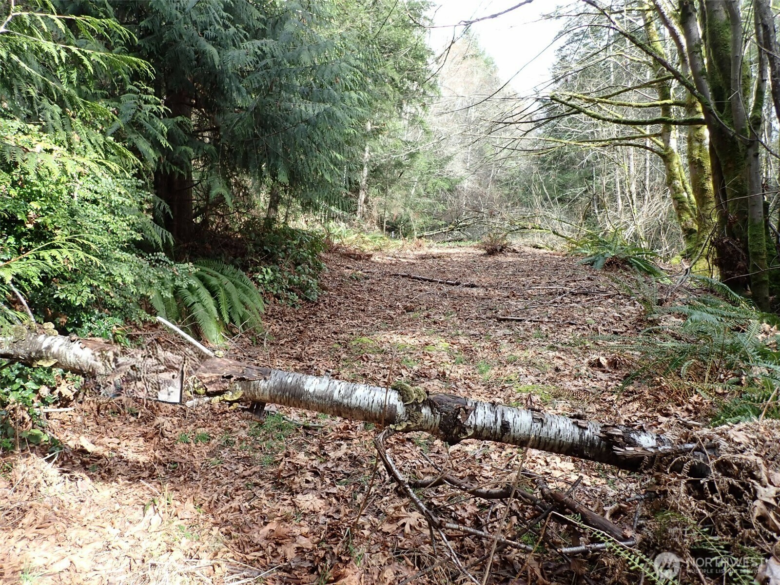 Property Photo:  3450  Teal Lake Road  WA 98365 