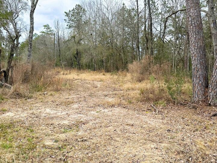 Property Photo: 12280 Pelt Rd. TX 77625