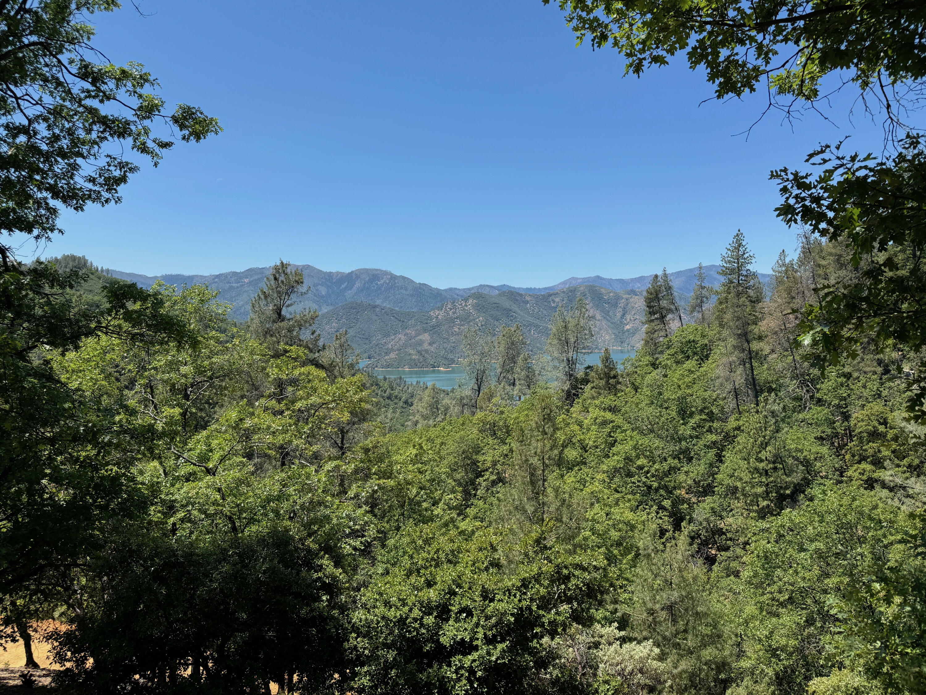 Property Photo:  Little Doe Rdg  CA 96051 