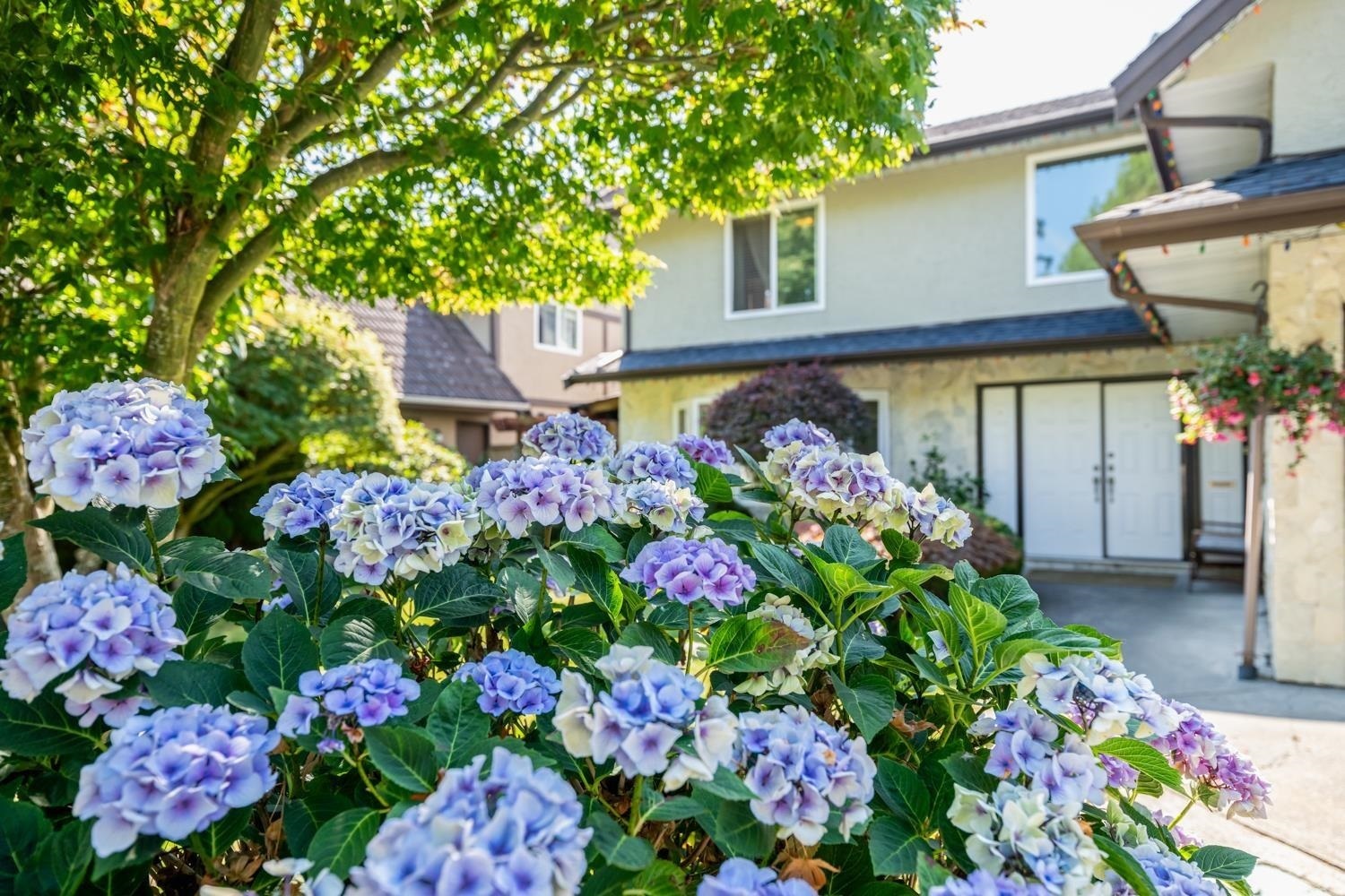 Property Photo: 10495 Yarmish Drive BC V7E 5L5