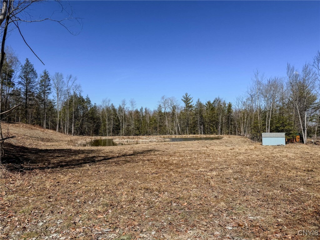 Property Photo: 00 Black Ash Road NY 14898