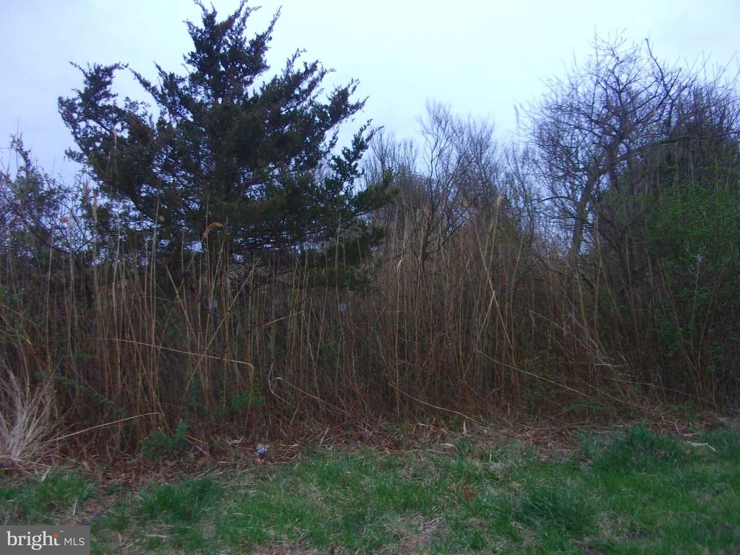 Property Photo: 873 Downe Avenue 875 NJ 08321