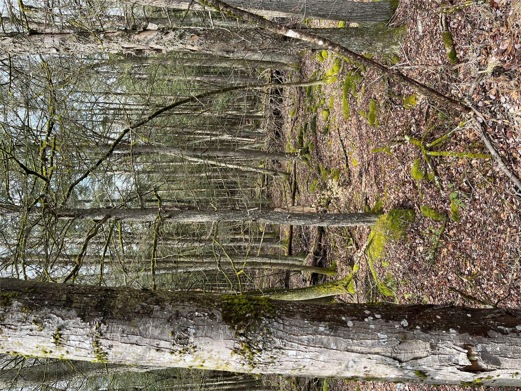 Property Photo: Leins Road, Fallsburg, Ny Leins Road NY 12733