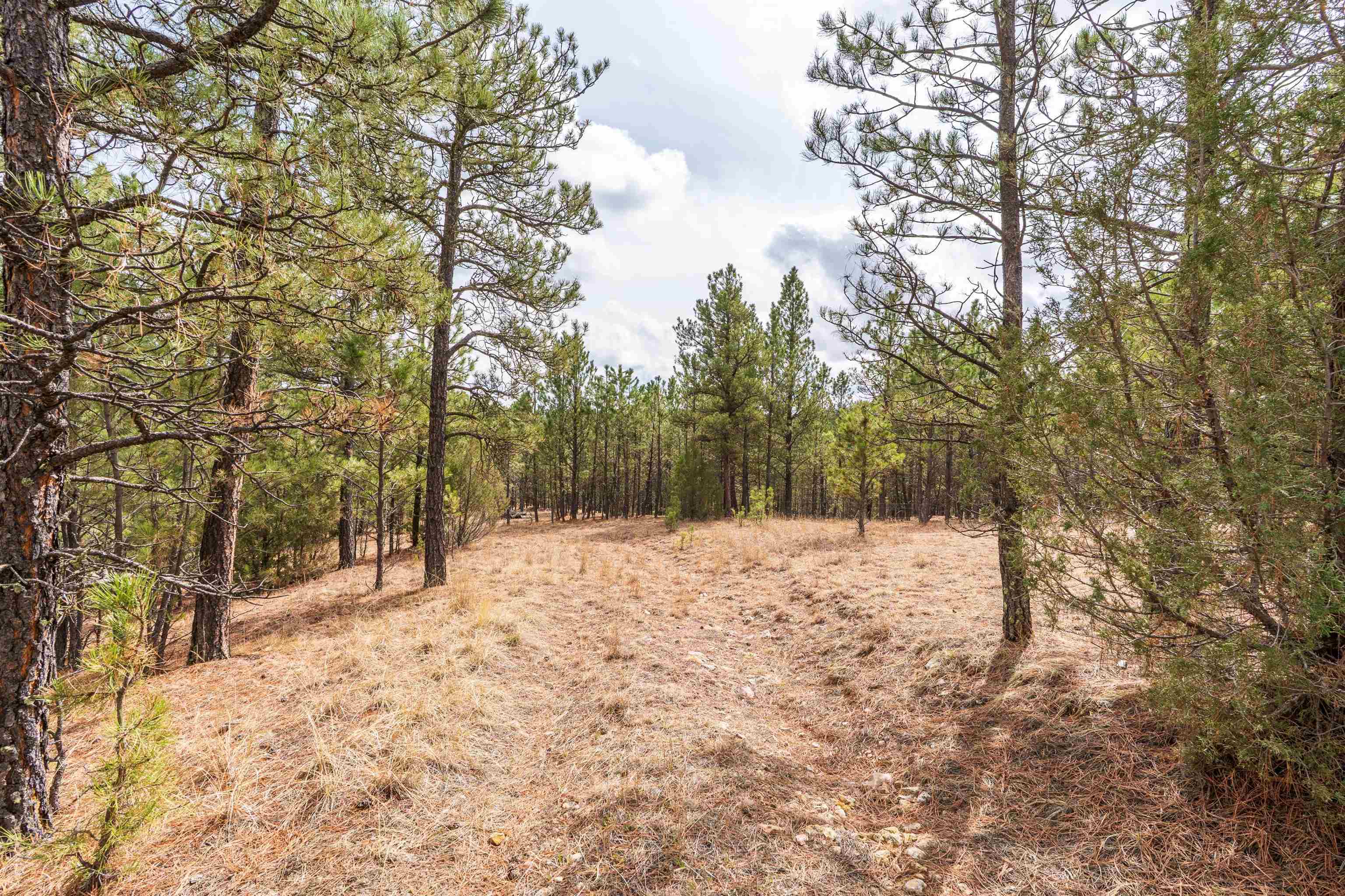 Property Photo: Lot 19 W Gunsmoke SD 57730