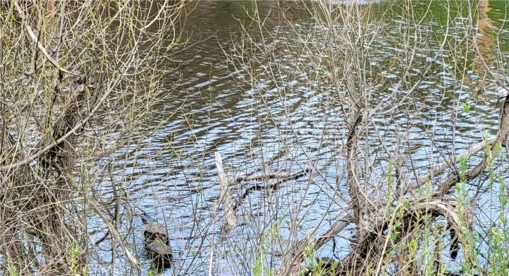 Property Photo:  13488 Marina Village  CA 95423 