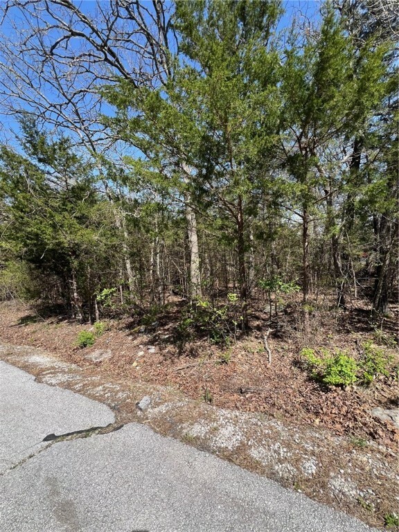 Property Photo:  Tbd Larchwood Drive  AR 72644 