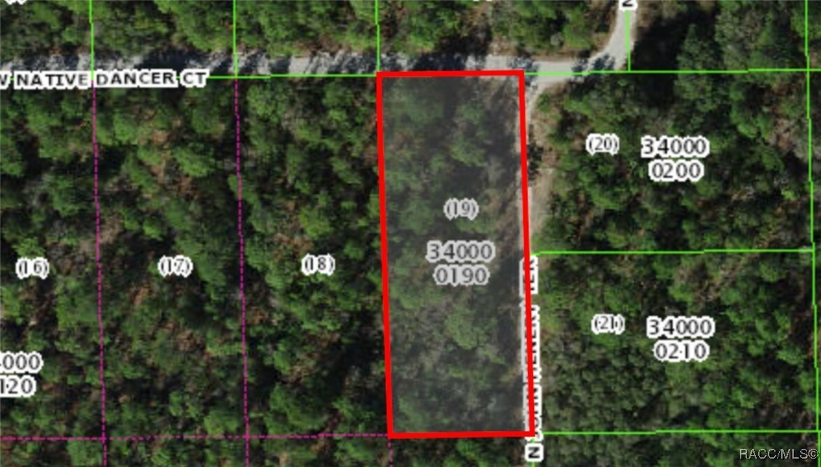 Property Photo: 7820 W Native Dancer Court FL 34428