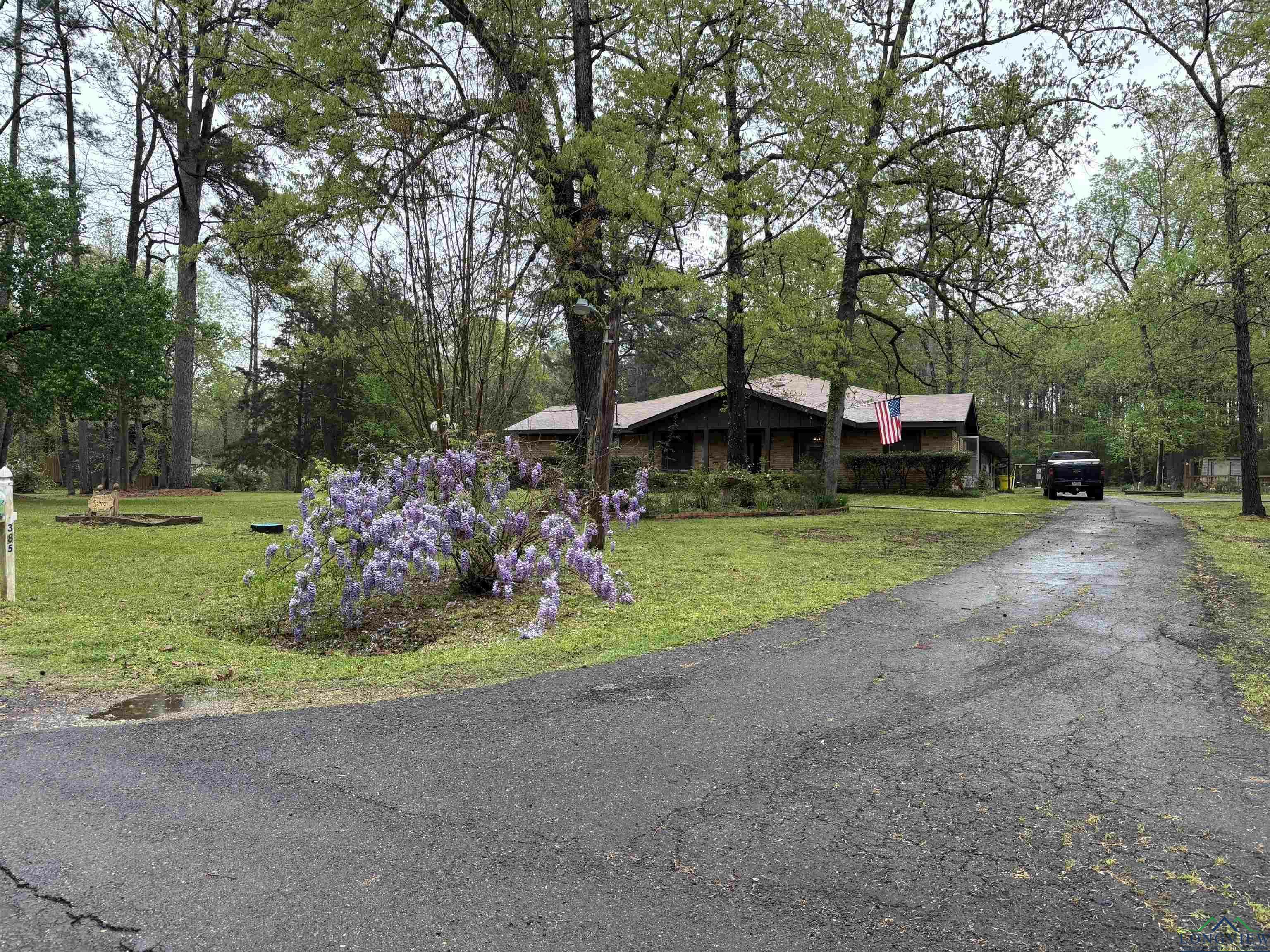 Property Photo: 385 Connie Lane TX 75692