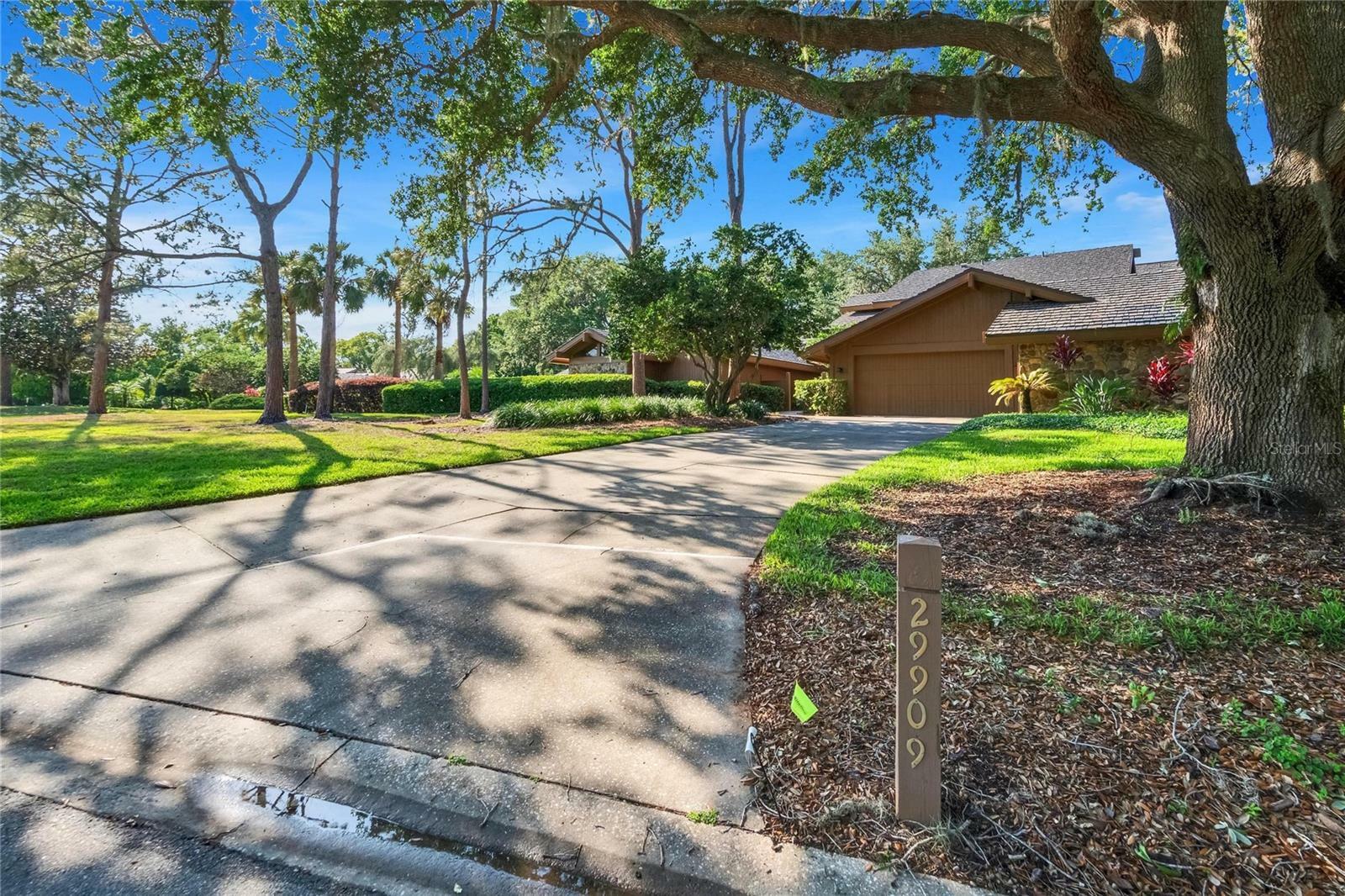 29909 Baywood Lane  Wesley Chapel FL 33543 photo