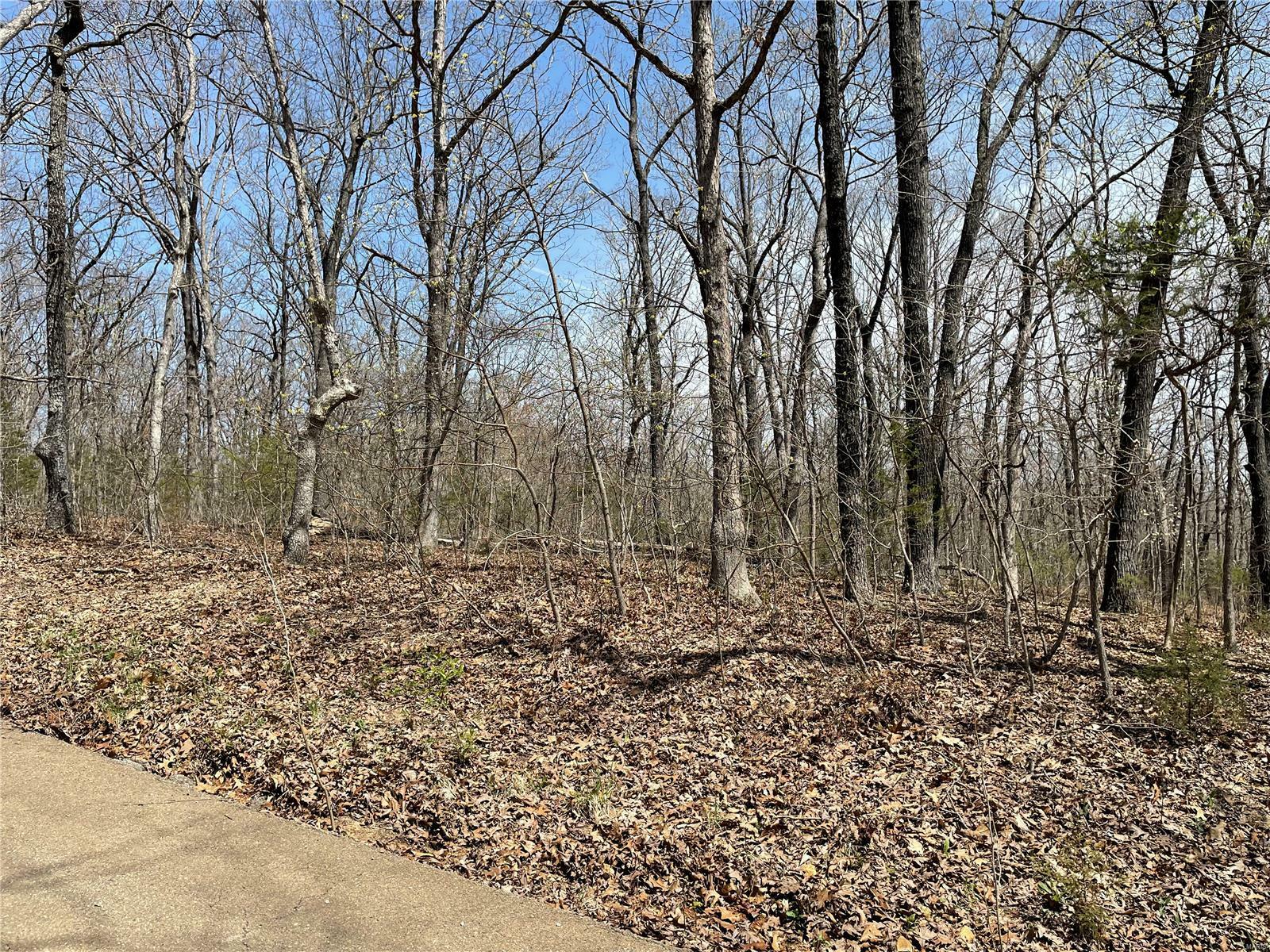 Property Photo: 9352 Pea Ridge Drive MO 63050
