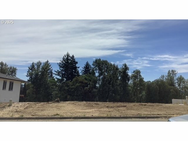 31 Alexia Ct  Longview WA 98632 photo