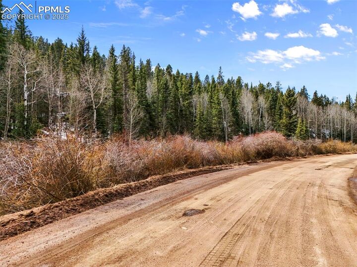 Property Photo:  464 E Bison Creek Trail  CO 80816 
