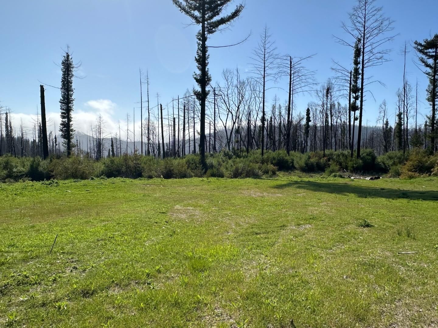 Property Photo:  4605 Last Chance Road  CA 95017 