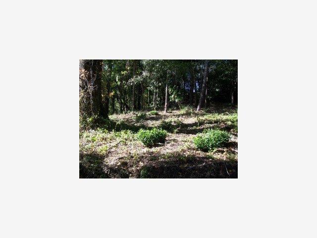 Property Photo: 0 Gist Road CA 95033