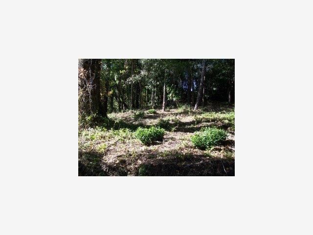 Property Photo:  0 Gist Road  CA 95033 