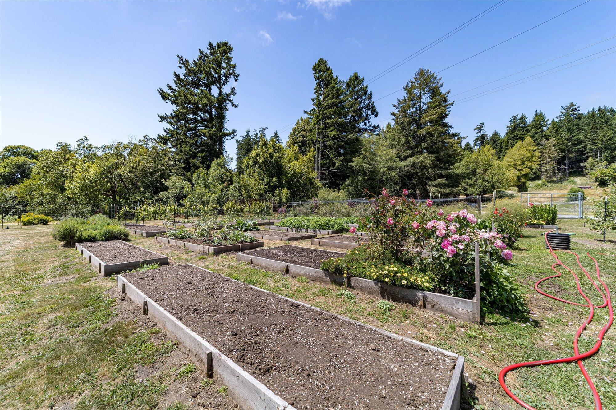 Property Photo: 0 Vance Mansion Estates None CA 95528