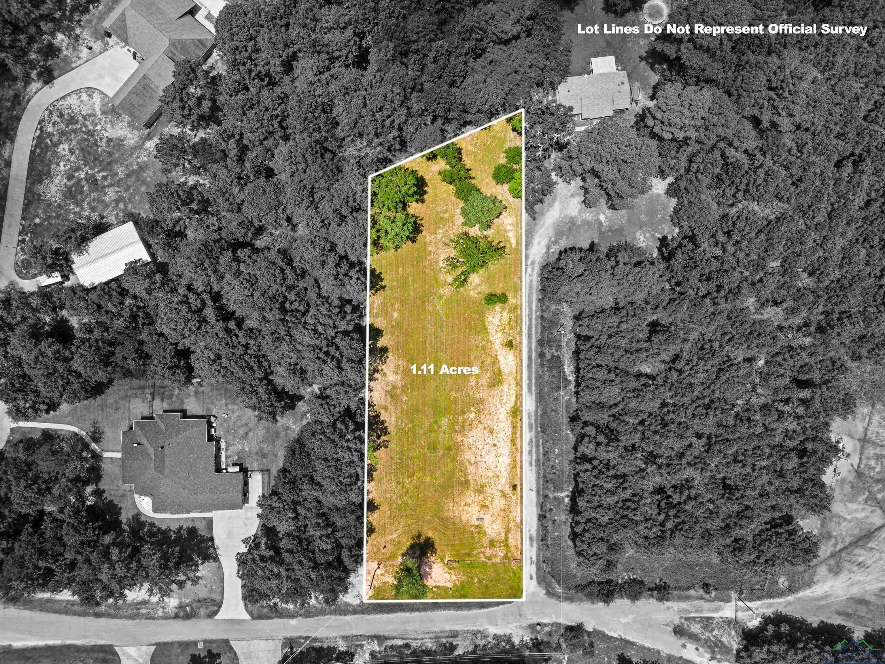 Tbd Cedar Springs Rd Pr 1643  Longview TX 75605 photo