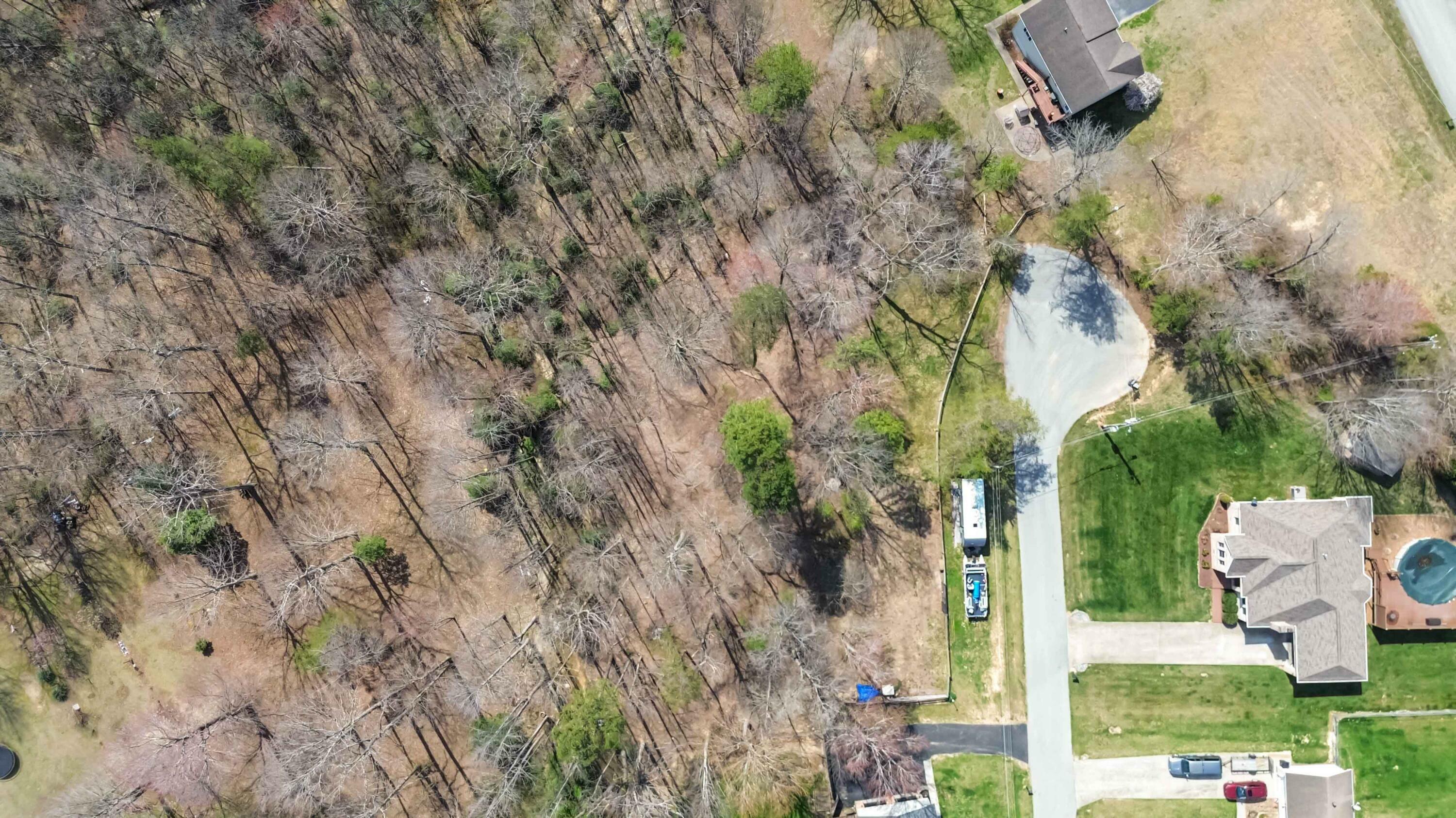 Property Photo: Lot #46 Brandon Dr. Mill Creek Estates KY 40701