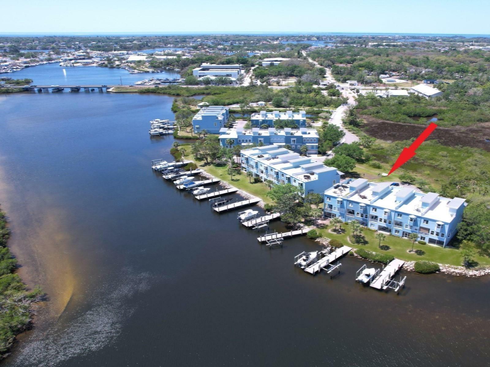 Property Photo: 362 Coquina Drive FL 34689