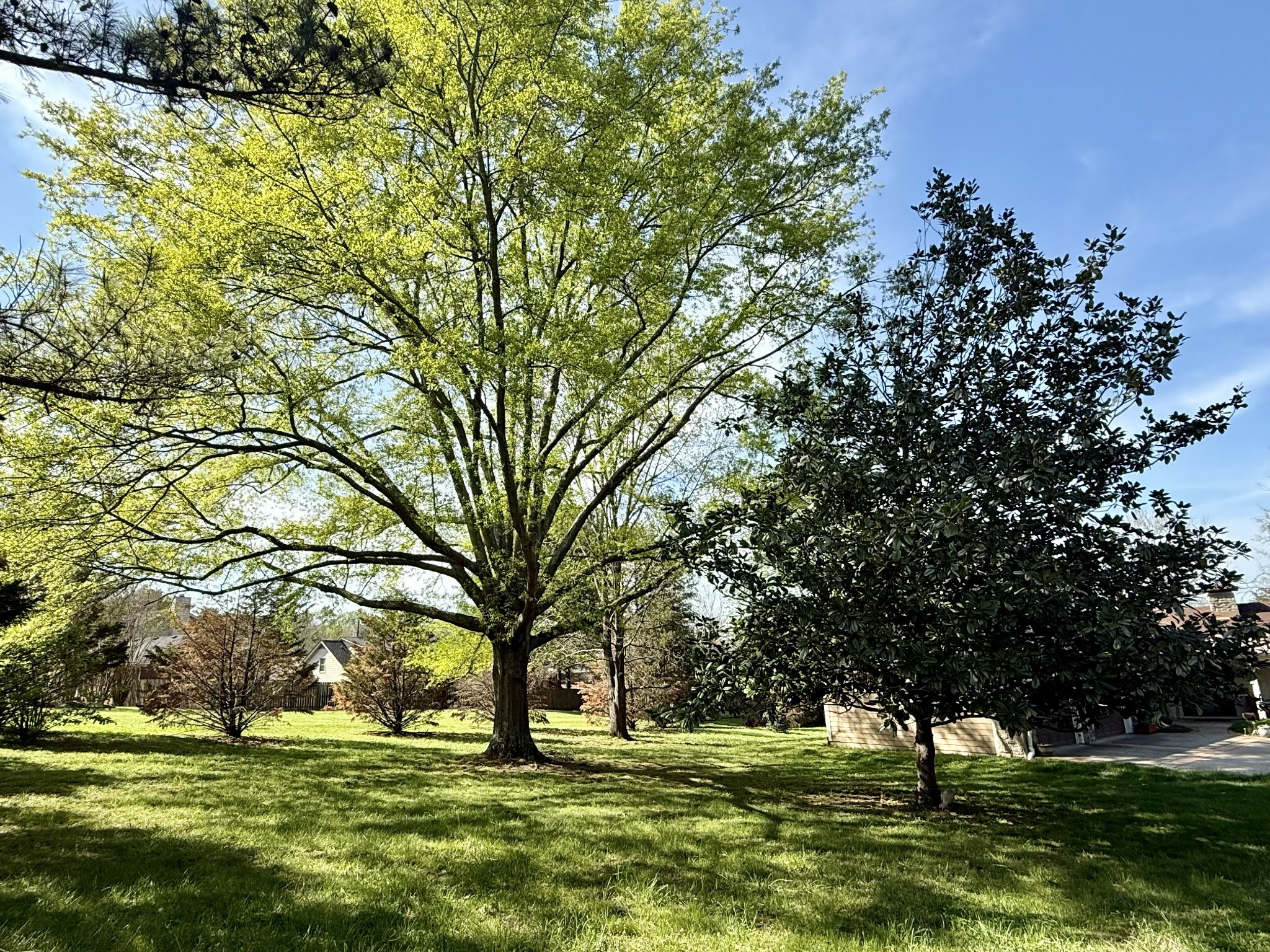 Property Photo: 8166 Poplar Creek Rd TN 37221