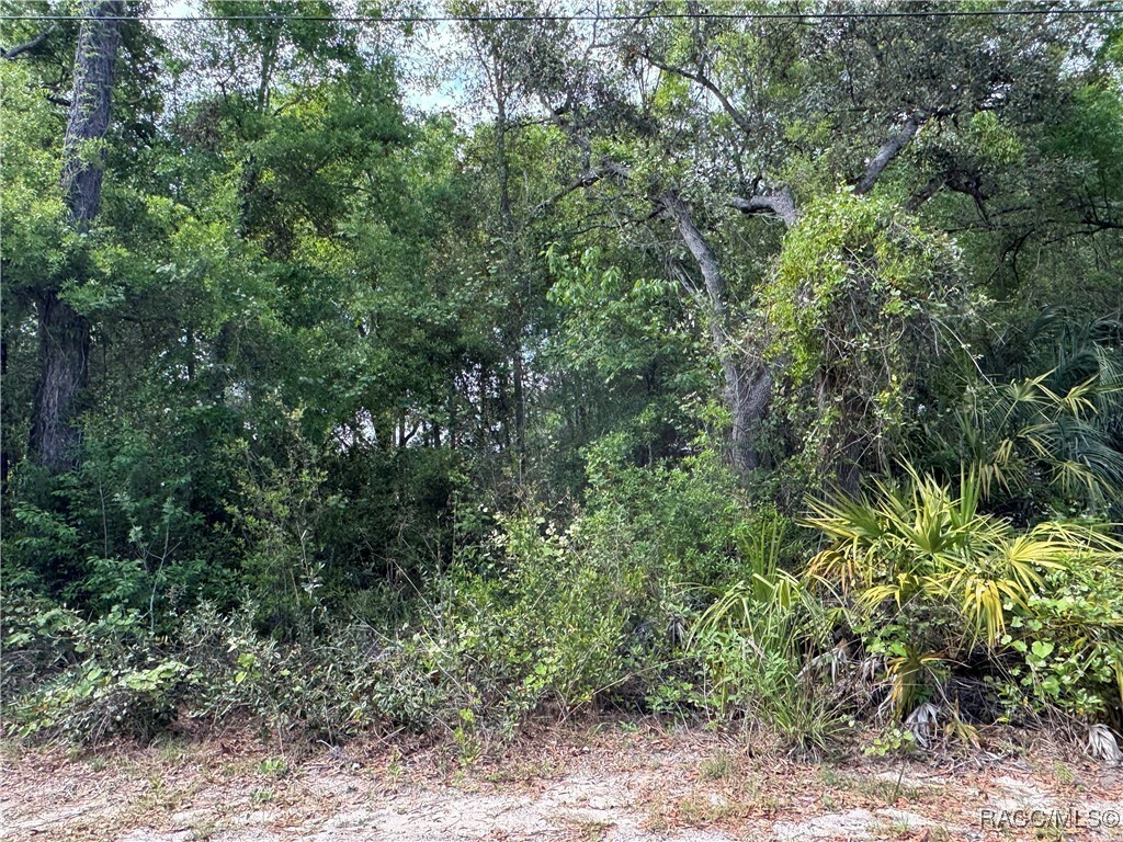 Property Photo: 6622 W Yates Place FL 34429