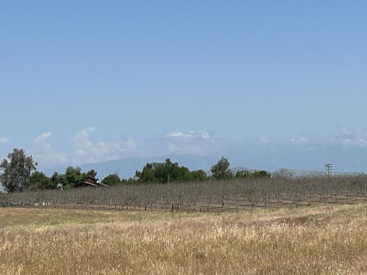 Road 240  Terra Bella CA 93270 photo