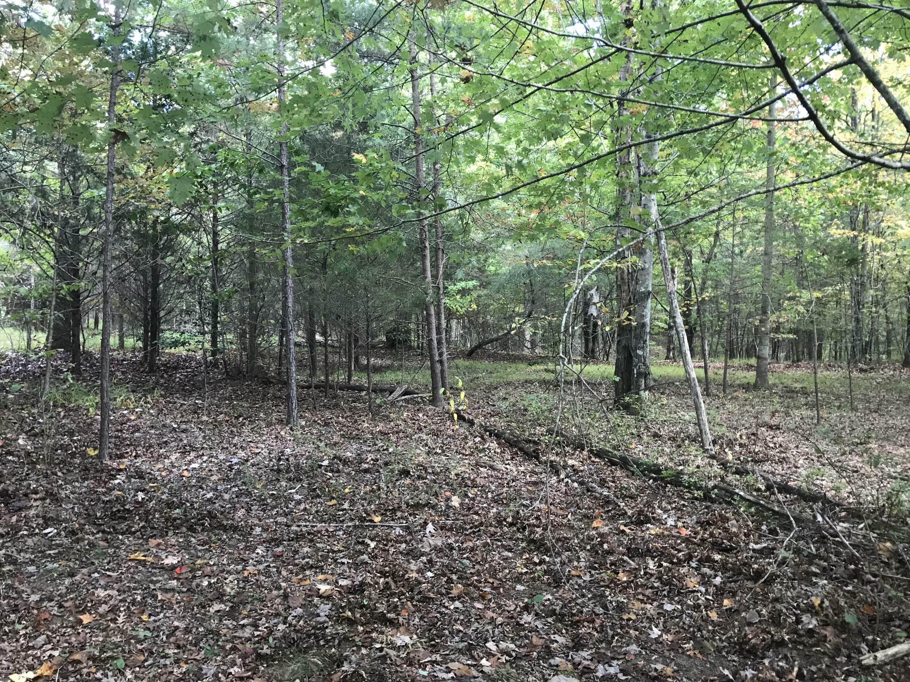 Property Photo: 57 Deer Point Drive TN 37327