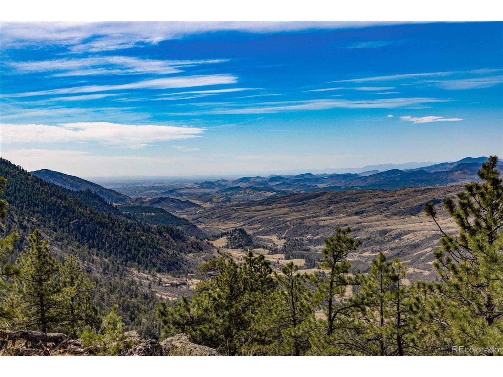 Property Photo:  9316 Tawny Lynx Rd  CO 80538 