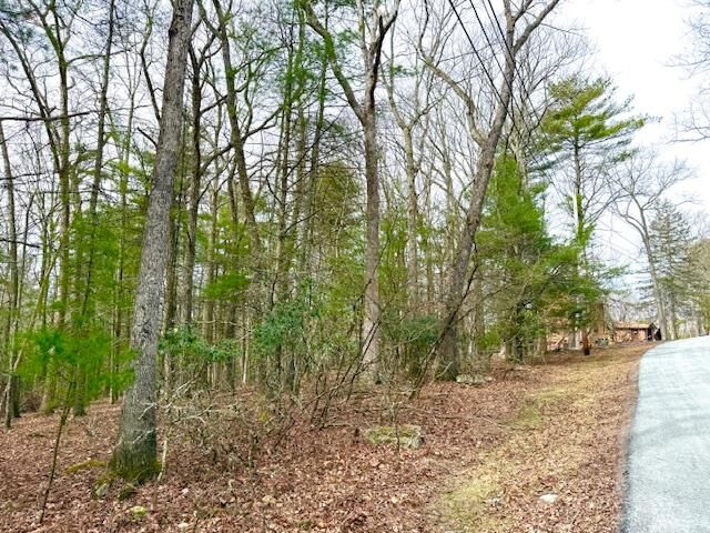 Property Photo: Lot 15 Magnolia Drive NY 12737