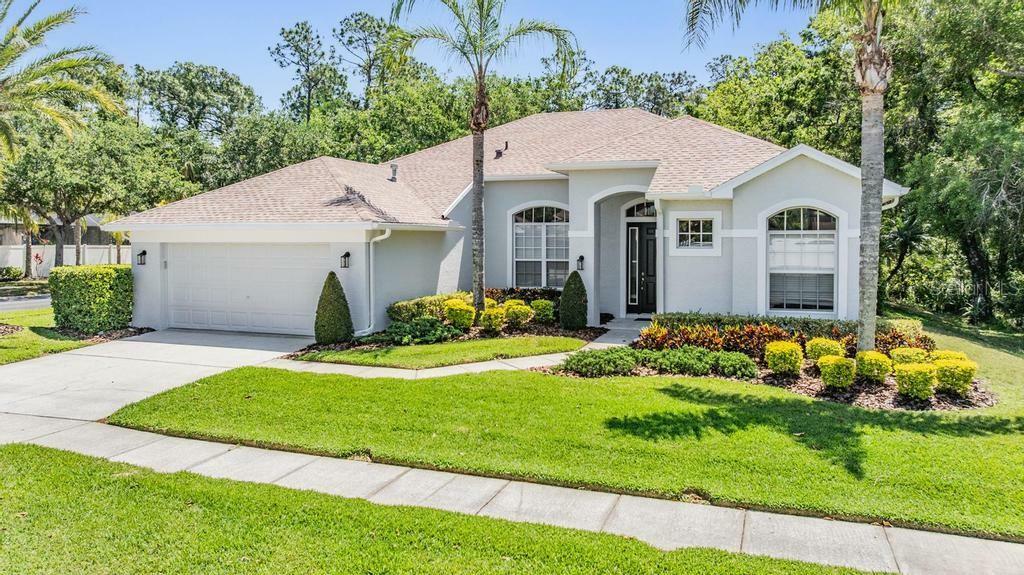 12802 Stanwyck Circle  Tampa FL 33626 photo