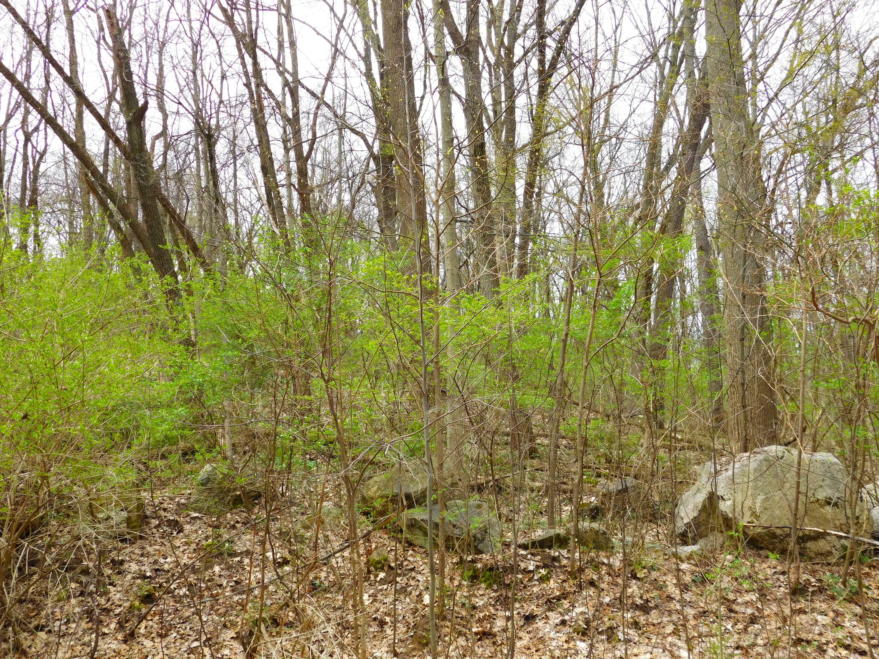 Property Photo: V/L Greyhawke Ridge MI 49120