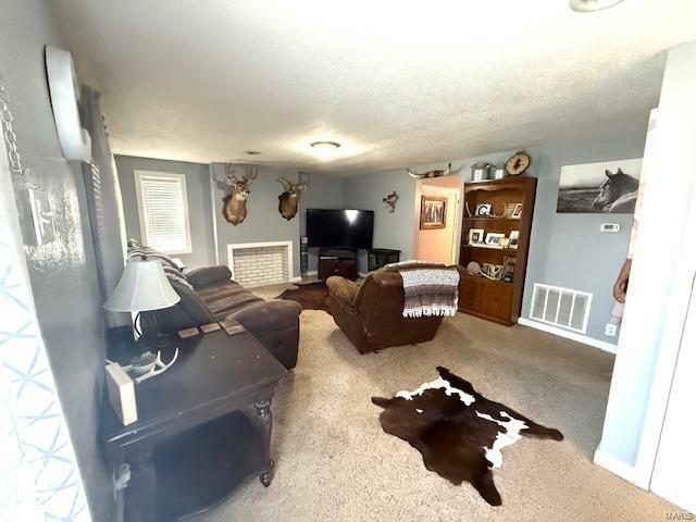 Property Photo: 117 Twin Street MO 63628