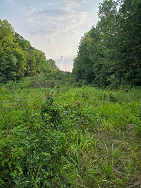 Property Photo:  1 Fox Road  MO 64674 