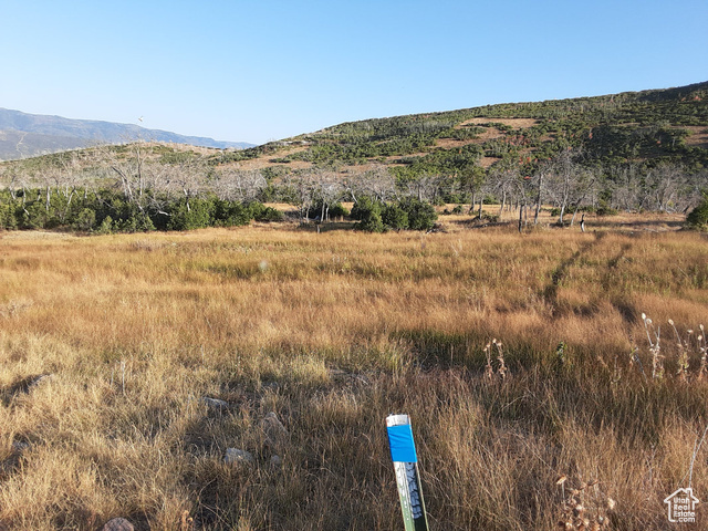 2547 S Indian Ridge Dr 25/47  Fairview UT 84629 photo
